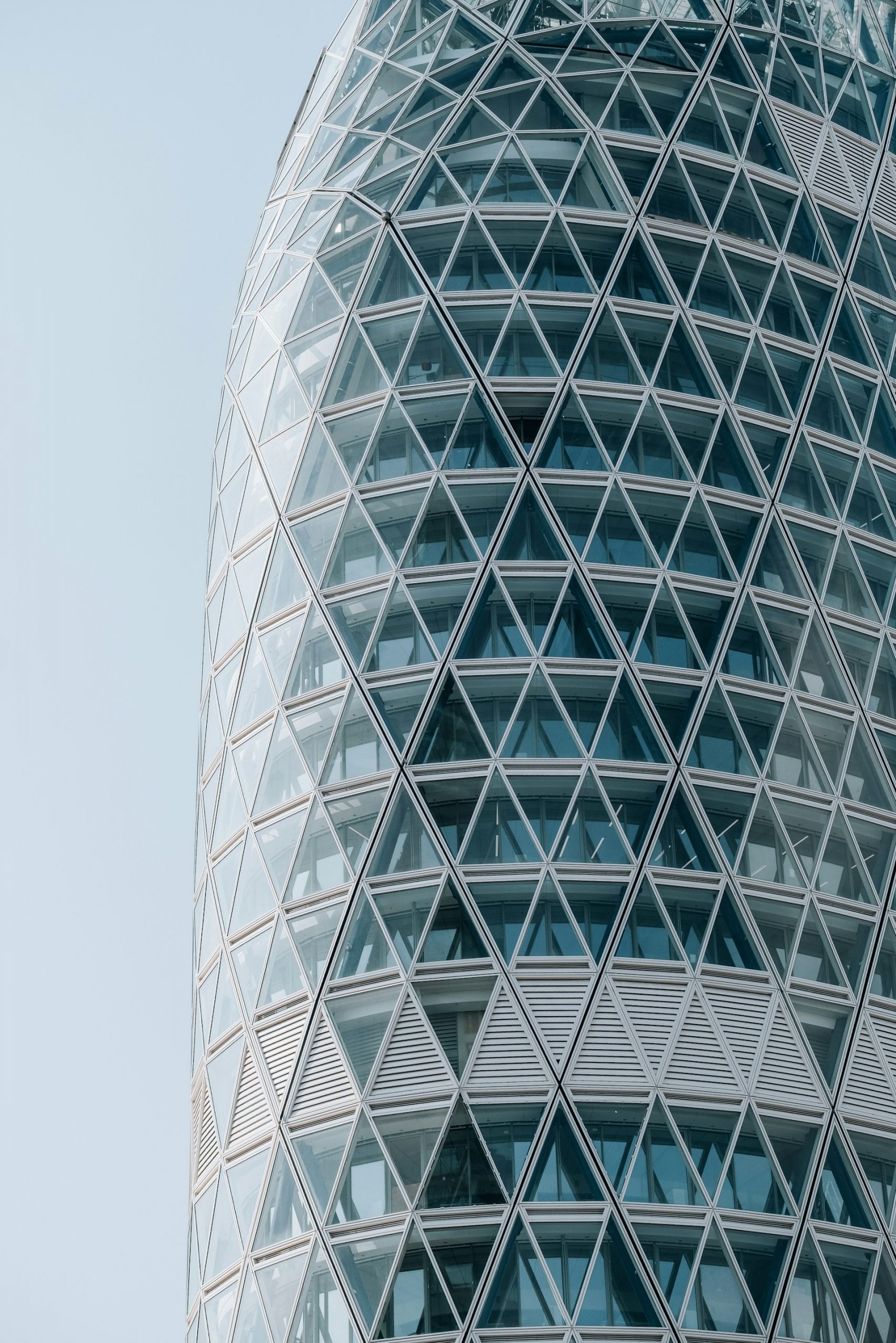 Gewerbliche Fensterreinigung Berlin - Sinus Clean