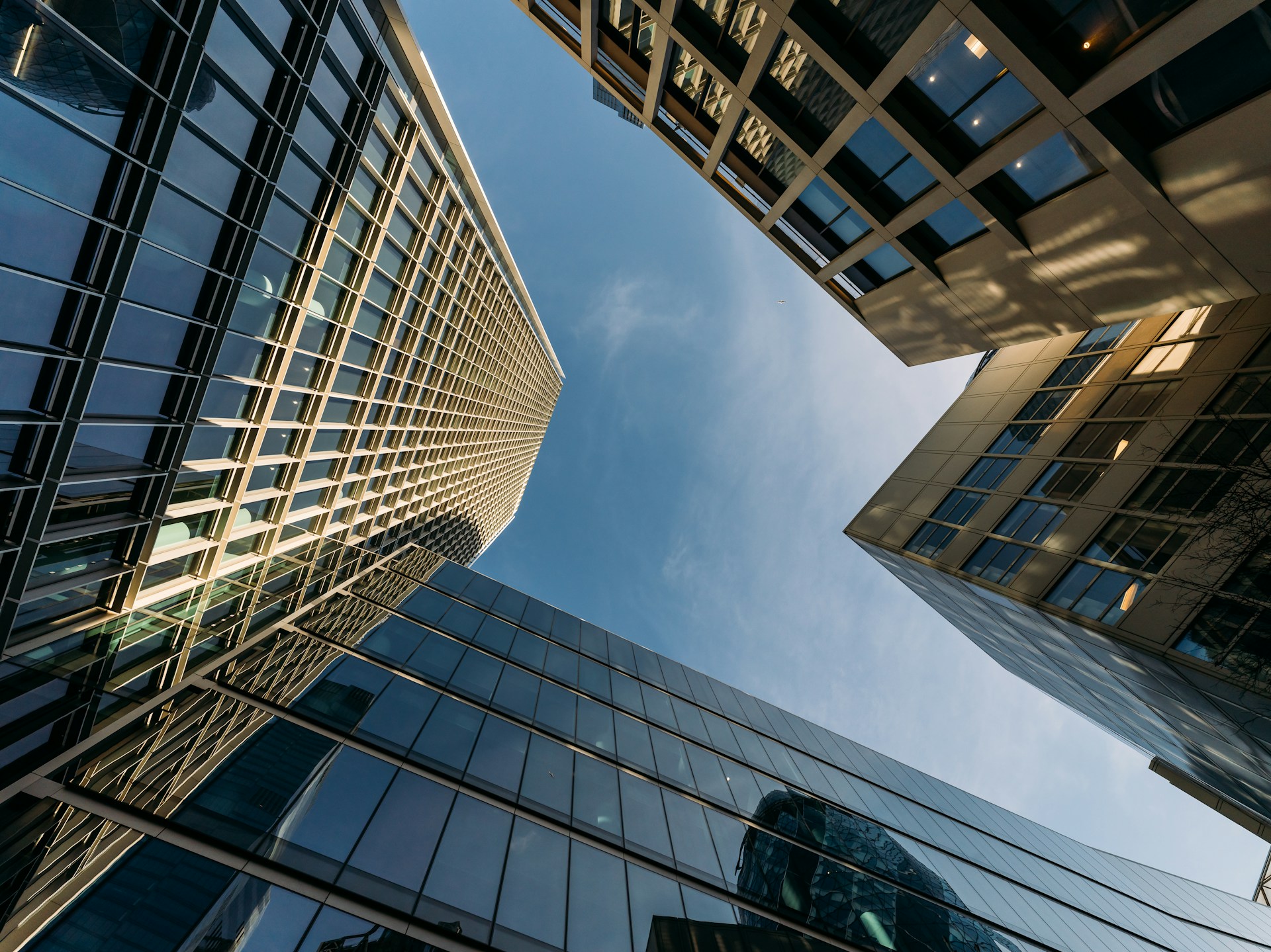 Fensterreinigung - Sinus Clean